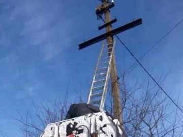 На Волині небайдужі зняли з електроопори кота, де він просидів добу і не міг самостійно злізти