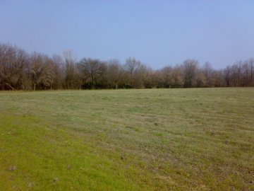 У фермерів на Волині хочуть відсудити землю за 20 мільйонів