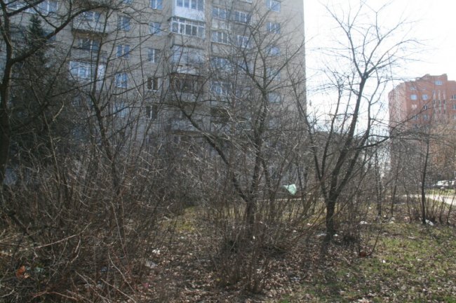 У Луцьку на Соборності прибиратимуть сквер від сміття