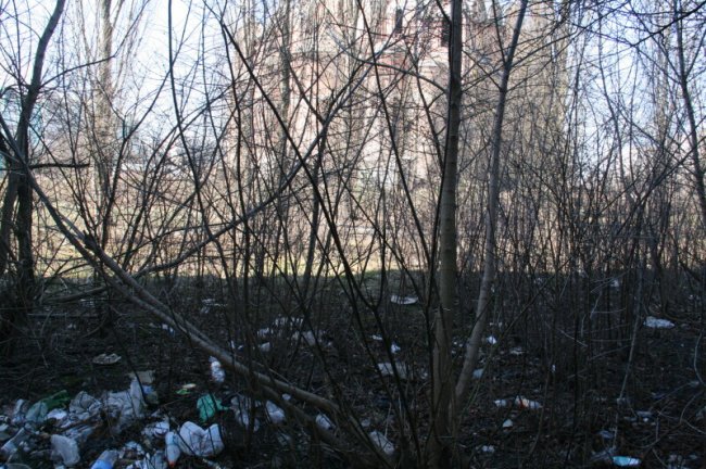 У Луцьку на Соборності прибиратимуть сквер від сміття