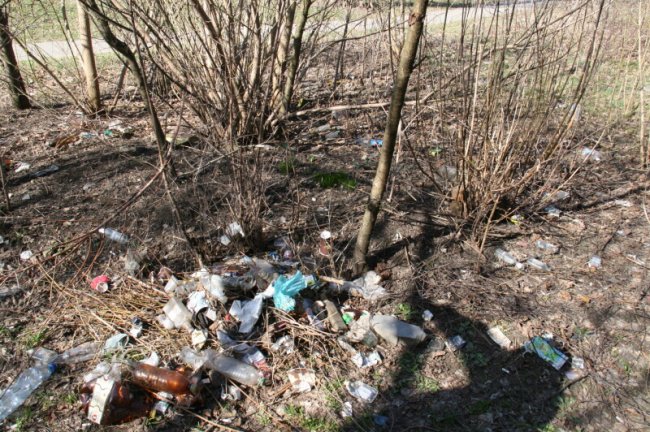 У Луцьку на Соборності прибиратимуть сквер від сміття