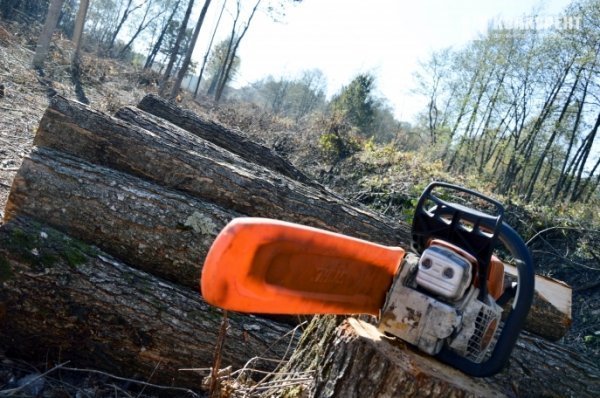 На Волині енергію виробляють із відходів виробництва. ФОТО