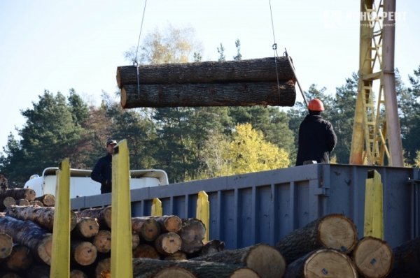 На Волині енергію виробляють із відходів виробництва. ФОТО