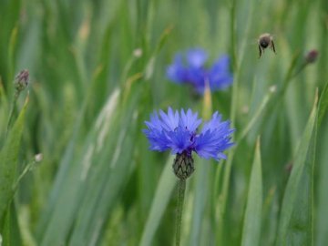 Погода у Луцьку та Волинській області на завтра, 9 серпня