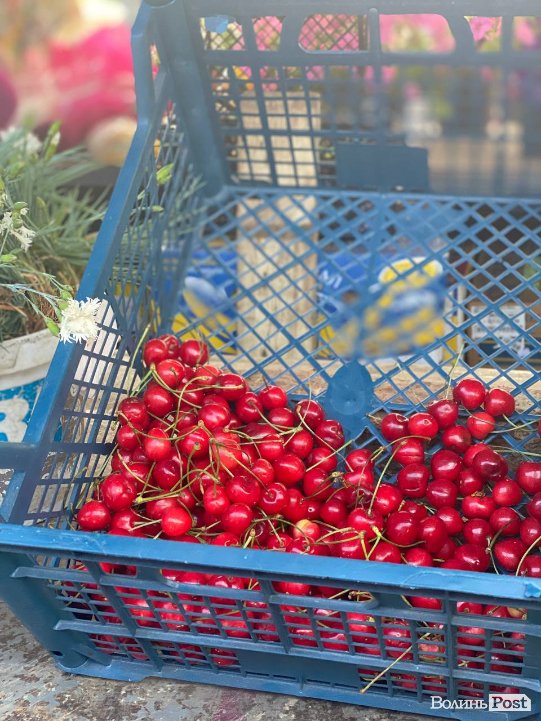 Звідки везуть черешню і скільки коштує ягода на луцькому ринку 