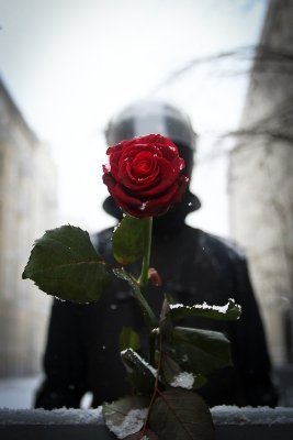 Українське протистояння. ФОТО