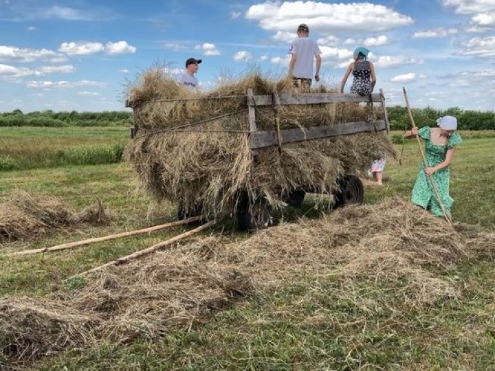 Дбають заздалегідь: як родина з Волині заготовляє сіно на зиму. ВІДЕО