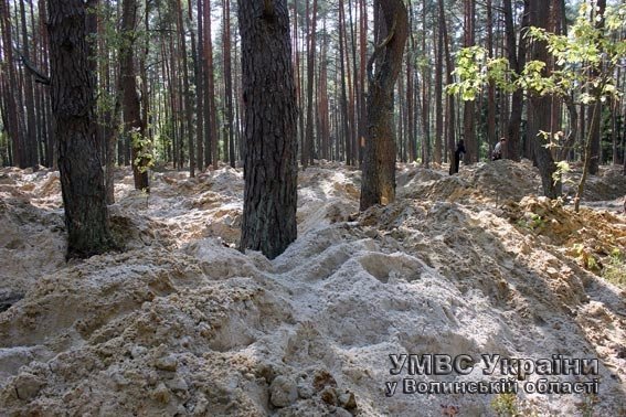 Під час проведення спецоперації на Волині затримали близько 80 бурштинокопачів. ФОТО. ВІДЕО
