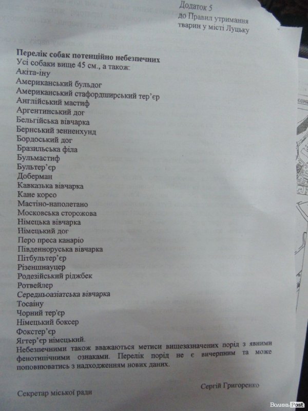 У Луцьку за собачі екскременти можуть оштрафувати на 800 гривень
