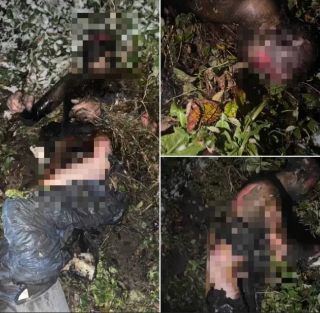 На Волині пенсіонер підпалив себе та помер від опіків, – соцмережі. ФОТО 18+