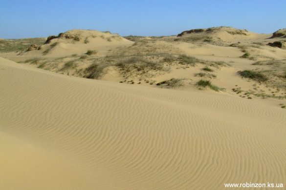 ТОП-10 природних див України, які має відвідати кожен. ФОТО