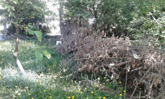 Лучани загороджують свої городи гіллям. ФОТО