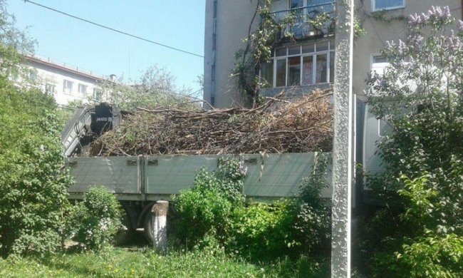 Лучани загороджують свої городи гіллям. ФОТО