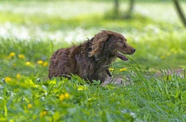 Фотовиставка Сергія Руденка