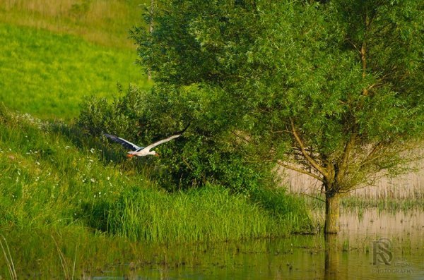 Фотовиставка Сергія Руденка