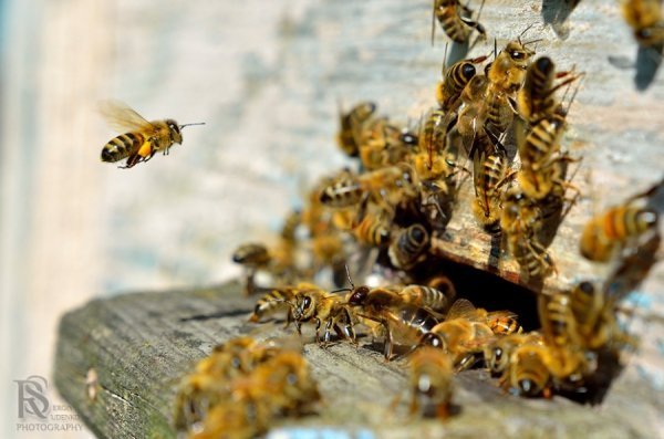 Фотовиставка Сергія Руденка