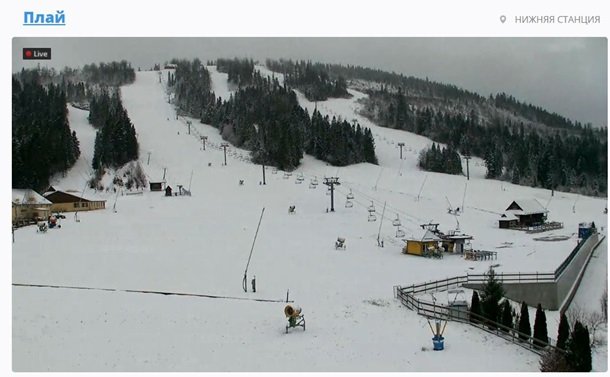 У Карпатах почав падати сніг. ФОТО