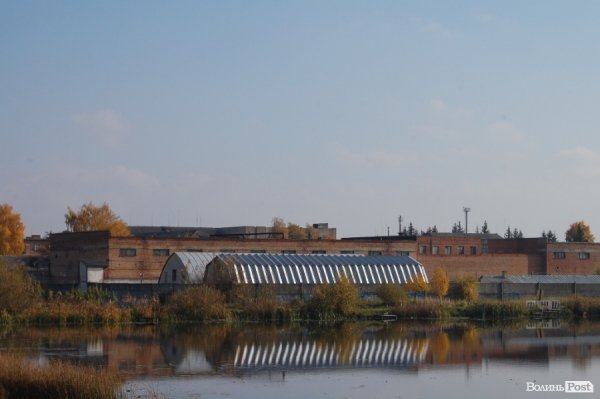 Ковель буденний. ФОТО