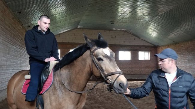 Як із допомогою коней на Волині лікують поранених бійців: деталі