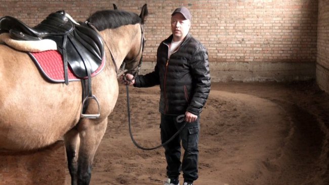 Як із допомогою коней на Волині лікують поранених бійців: деталі