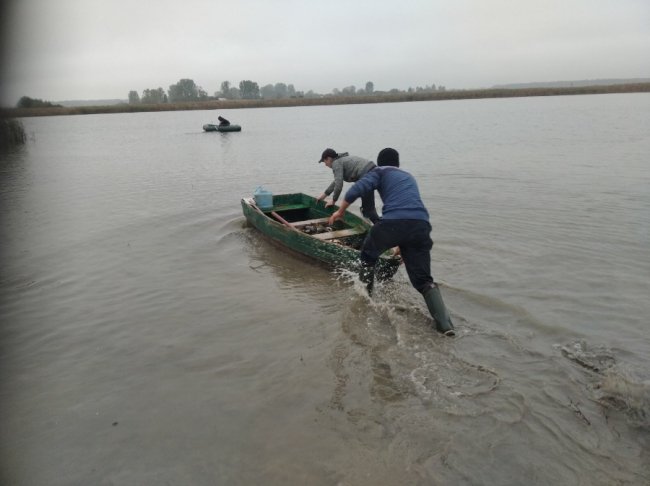 Небайдужі волиняни випустили у річку понад пів тонни риби. ФОТО