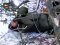 Сафарі на снайпера: волиняни знищили елітного російського спеца