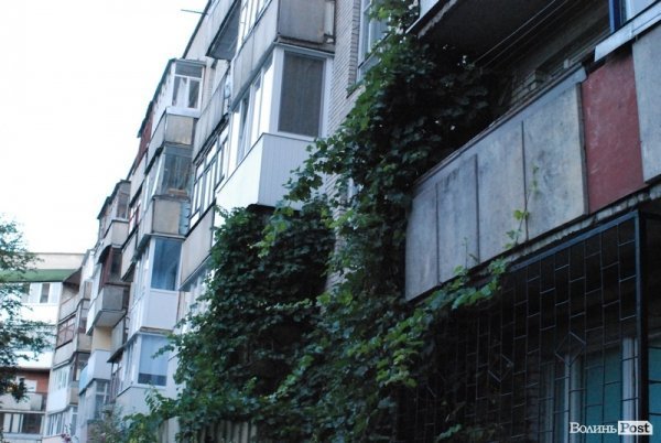 Місто, яке я люблю. Луцьк прокидається. Частина 4