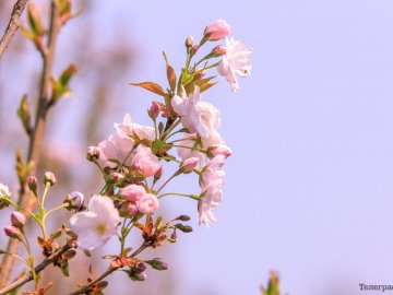 Погода в Луцьку та Волинській області на суботу, 10 квітня