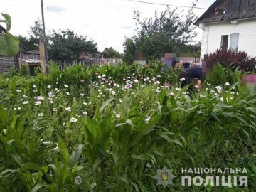 У волинянки на городі знайшли плантацію  маку. ФОТО