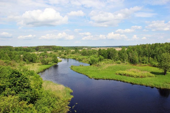 Волинський фотограф показав красу «високої води» річки Стохід. ФОТО