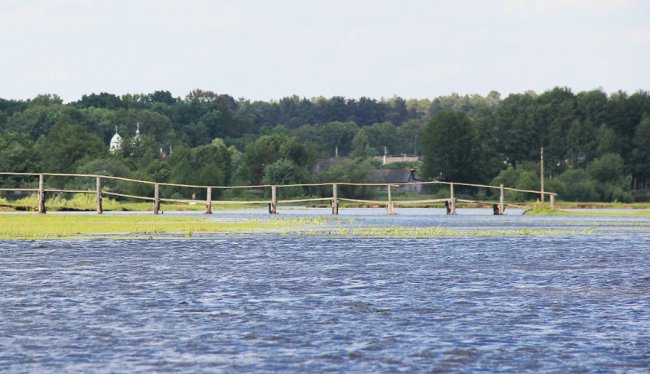 Волинський фотограф показав красу «високої води» річки Стохід. ФОТО