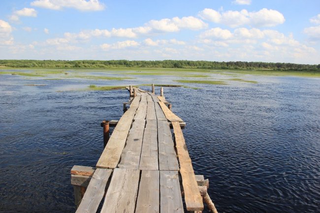 Волинський фотограф показав красу «високої води» річки Стохід. ФОТО