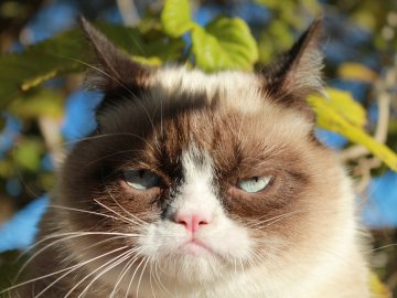 Погода в Луцьку та Волинській області на вівторок, 12 березня