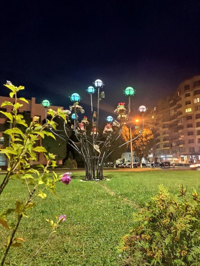 У Луцьку на кільці встановили оригінальне коване дерево. ФОТО