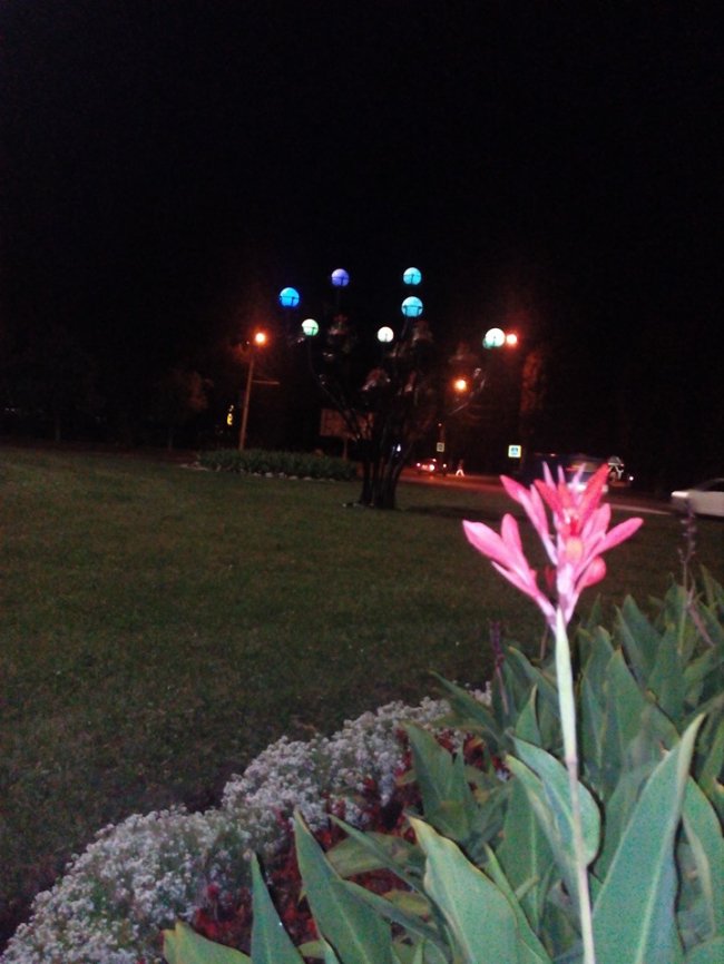 У Луцьку на кільці встановили оригінальне коване дерево. ФОТО