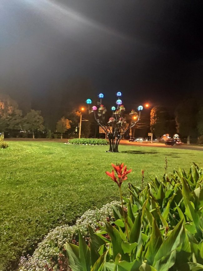 У Луцьку на кільці встановили оригінальне коване дерево. ФОТО