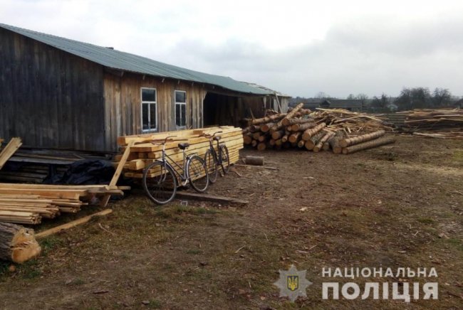 На пилорамі у Ковельському районі знайшли незаконну деревину. ФОТО