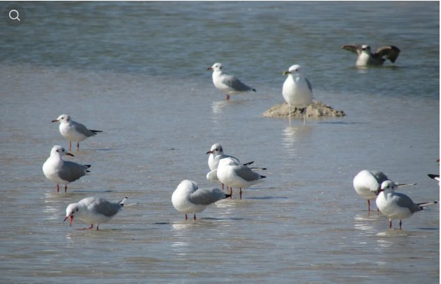 Курорти Чорного і Азовського морів: куди поїхати цього літа і які ціни