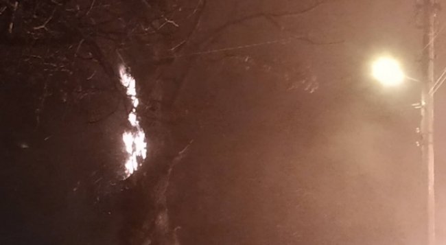 У Києві масштабна пожежа у приватному секторі, горить кілька будинків