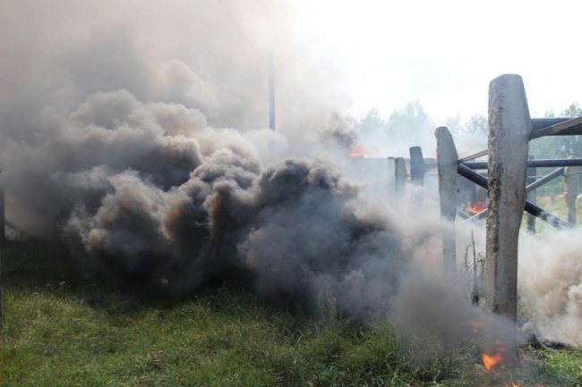 Українські десантники шокували американців, миттєво їх розгромивши. ФОТО. ВІДЕО