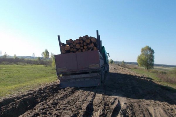 На Волині через вантажівку діти не могли потрапити до школи. ФОТО