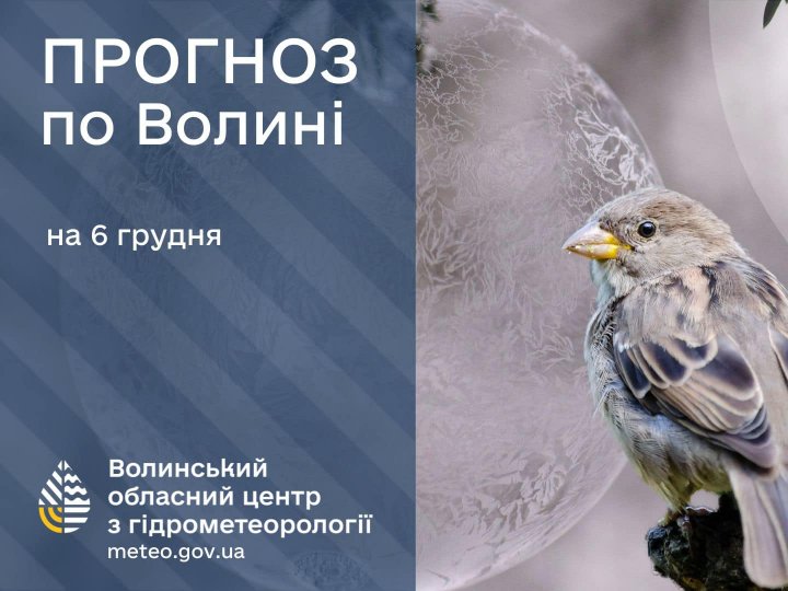 Погода в Луцьку та Волинській області на завтра, 6 грудня