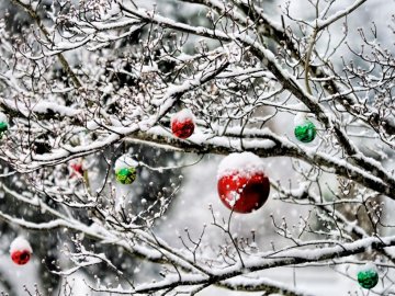 Синоптики розповіли, якою буде погода на Різдво