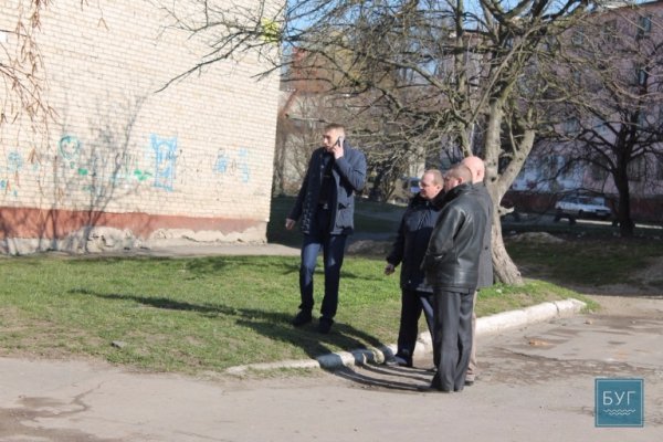 У Нововолинську дерево впало на поліцейську машину. ФОТО. ВІДЕО