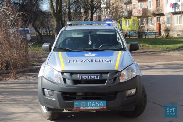 У Нововолинську дерево впало на поліцейську машину. ФОТО. ВІДЕО