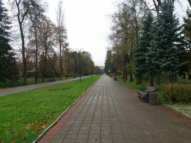 У луцькому парку «похазяйнували» вандали. ФОТО