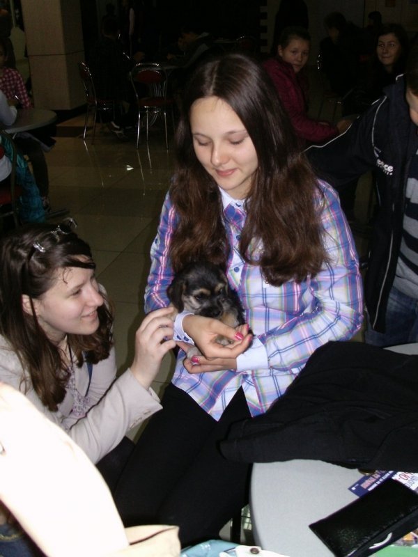 У Луцьку запровадили «уроки» гуманності