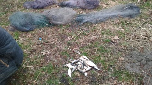 Протягом місяця на Волині викрили 93 порушення правил рибальства