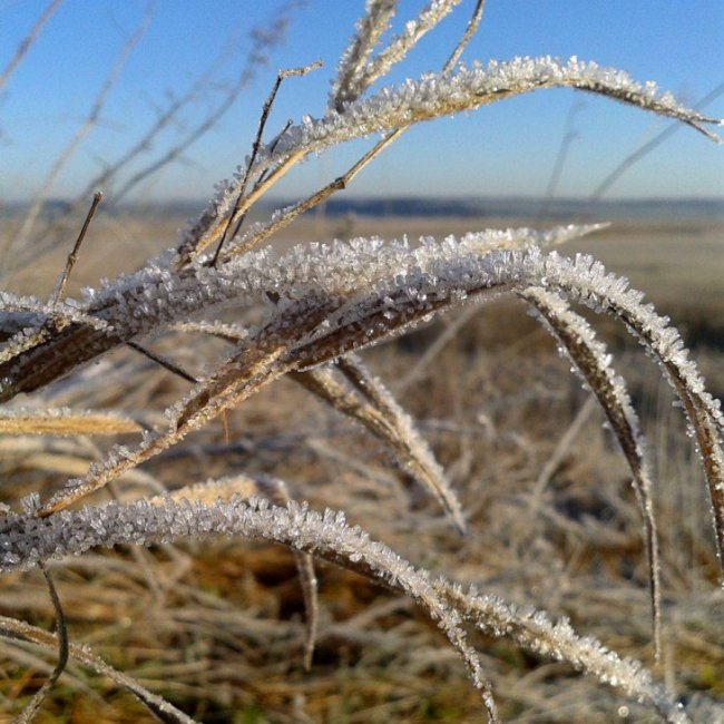 Краса волинської зими. ФОТО