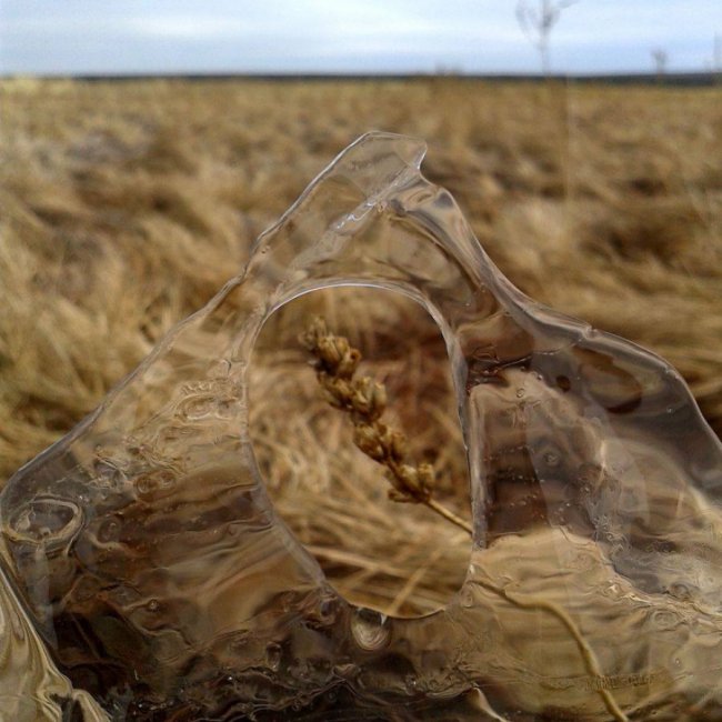 Краса волинської зими. ФОТО
